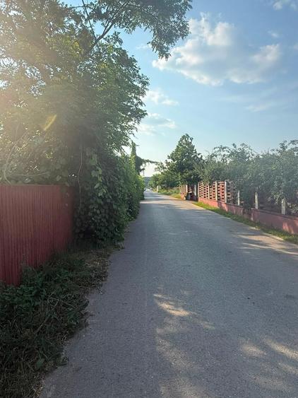 Teren Construcții intravilan de 540 mp, în Săftica