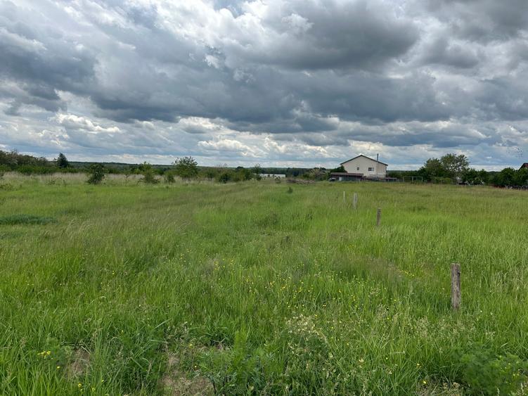 Teren Construcții intravilan de 473 mp, în Albota