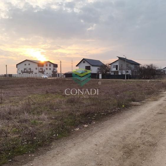 Teren Construcții intravilan de 600 mp, în Berceni