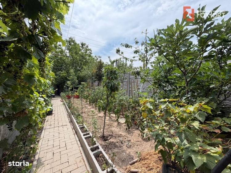 Casă cu 3 camere în Sânandrei