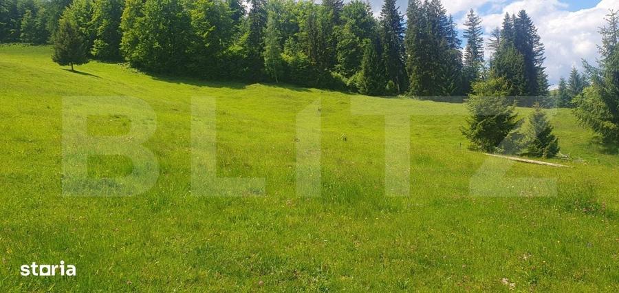 Casă cu 2 camere cu Teren 30000 Mp în Dorna Candrenilor