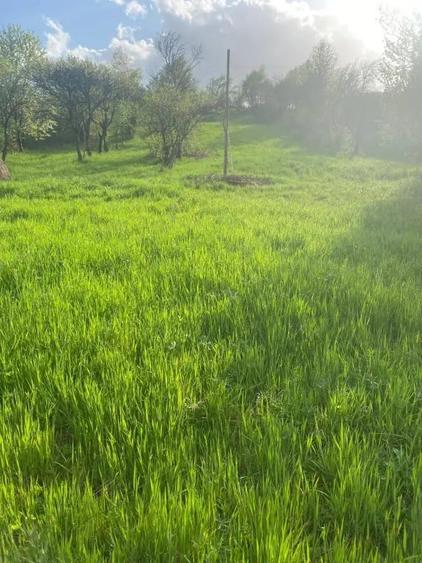 Casă cu 5 camere în Livadia