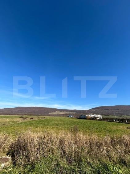 Teren Construcții de 2500 mp, în Exterior Sud