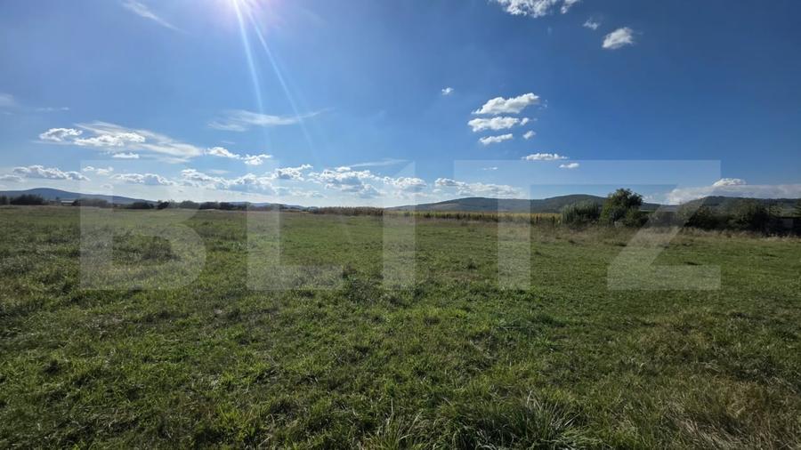 Teren agricol extravilan de 2350 mp, în Periferie