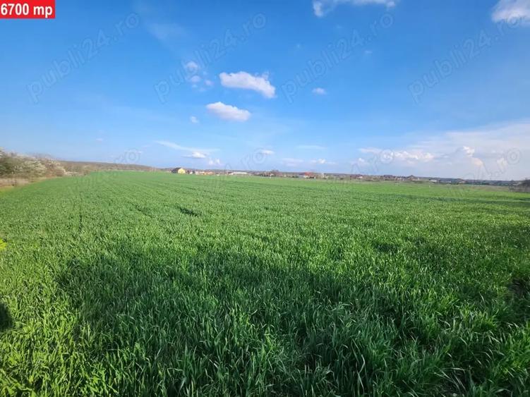 Teren de 1575 mp, în Bălteni