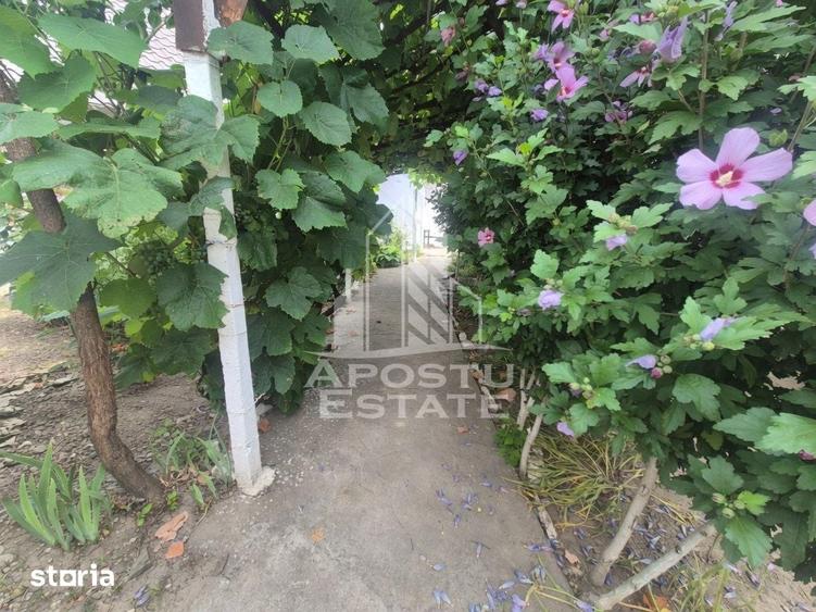 Se vinde casa in Teremia Mare, renovata, teren generos de 1.439 mp - 2