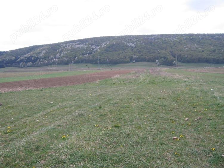 Teren de 5000 mp, în Central