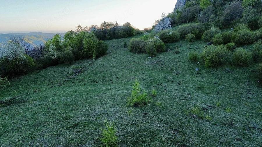 Teren de 25000 mp, în Vulcan