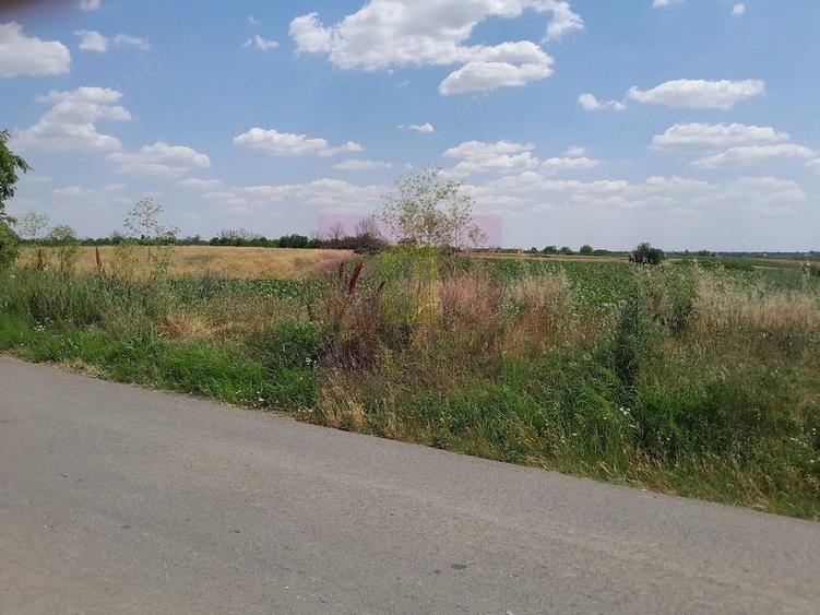 Teren de 16500 mp, în Teișori