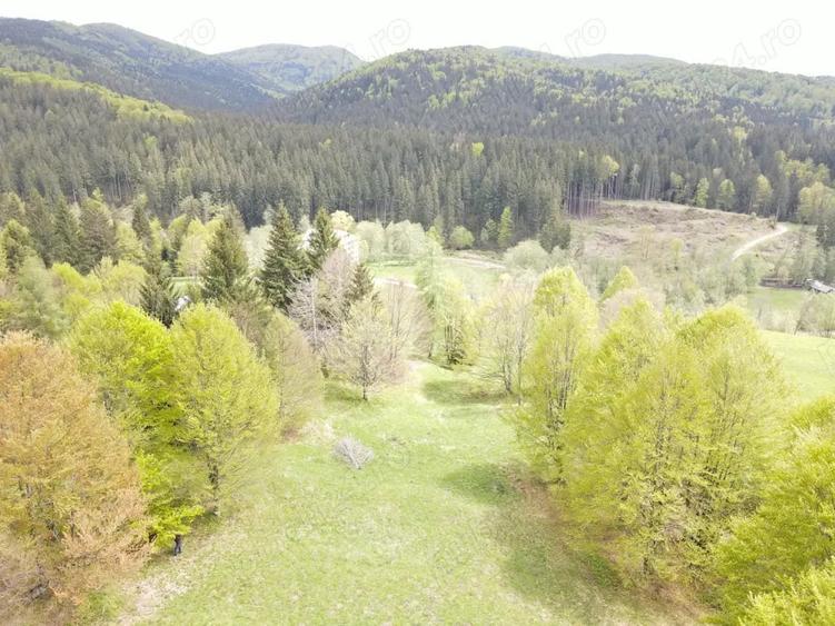 Teren de 7500 mp, în Cheia
