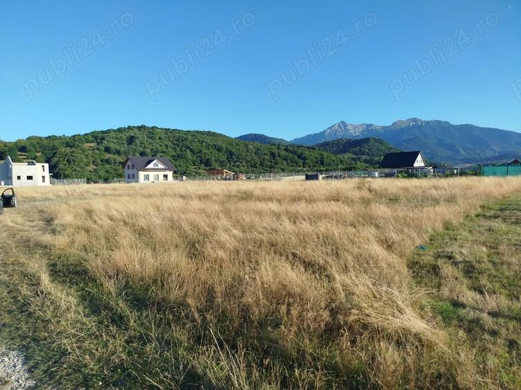 Teren de 1000 mp, în Glăjărie