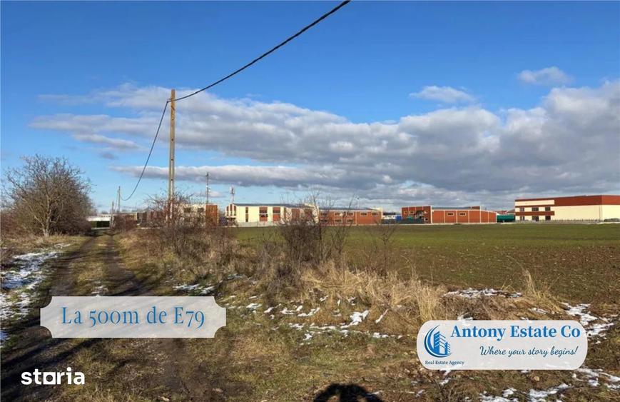 Antony Estate | Teren Intravilan de vanzare- Bors - 4