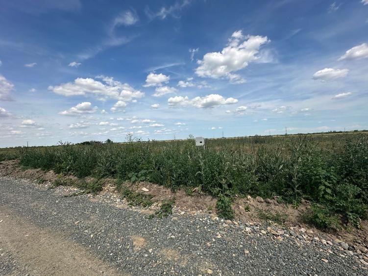 Teren Construcții intravilan de 647 mp, în Exterior Nord