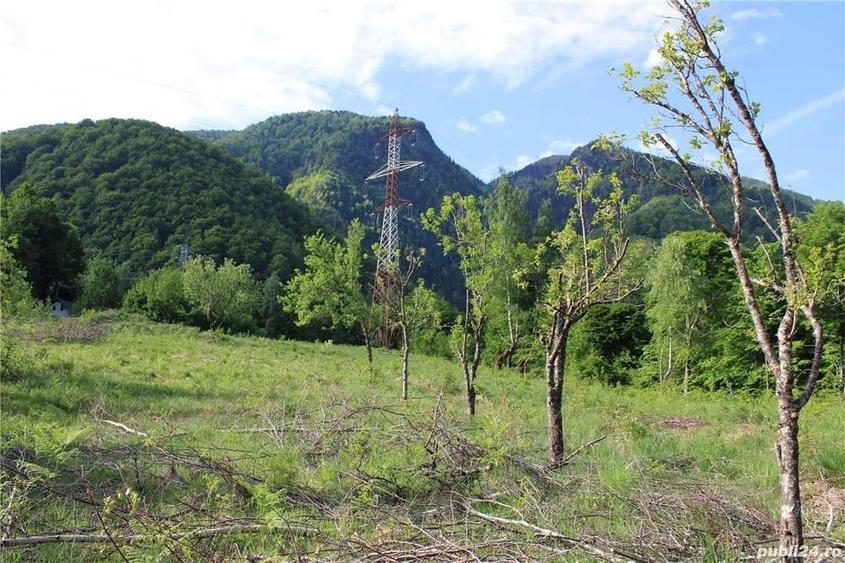 Teren în Malaia