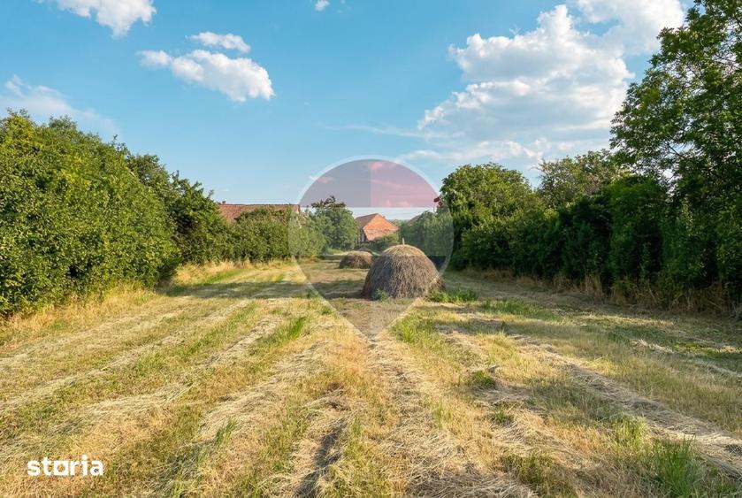 Casă cu 2 camere cu Teren 3618 Mp în Moldovenești
