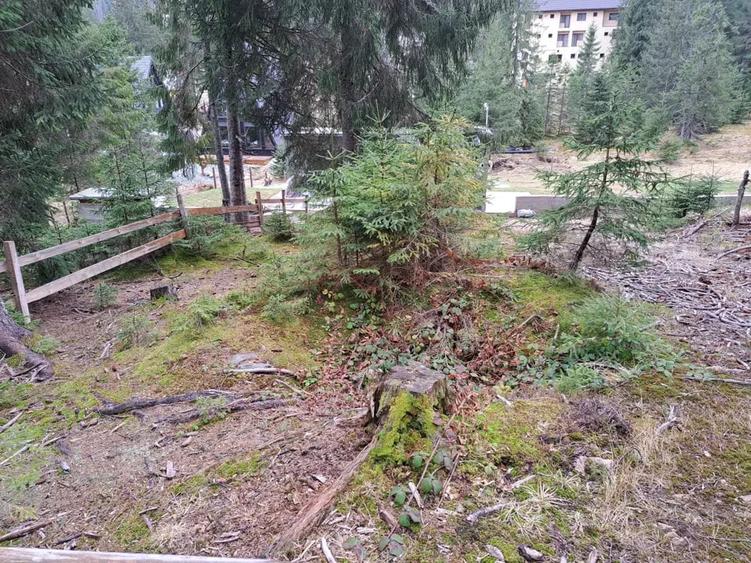 VAND TEREN Vartop-Arieseni - 2