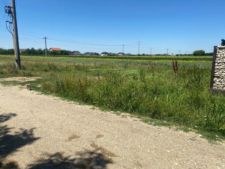 Teren Construcții intravilan de 500 mp, în Tărtășești