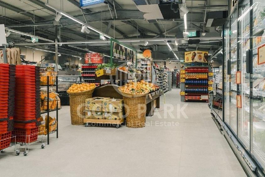 Spațiu comercial, de 461 mp, în Dacia