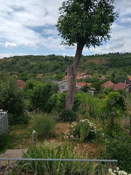 Casă cu 5 camere cu Teren 1579 Mp în Central