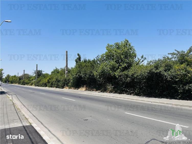 TEREN STRADAL GIULESTI, 50000 mp, la asfalt, intravilan, toate utilita - 2
