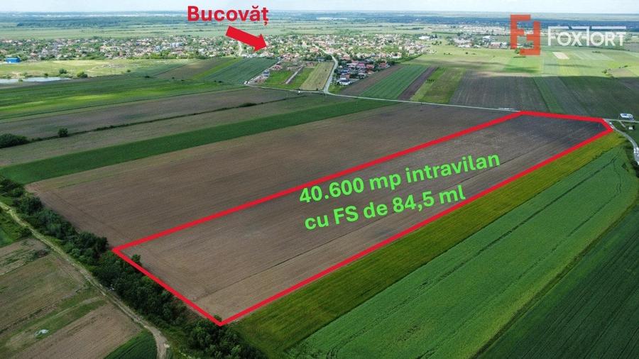 Teren Construcții intravilan de 40600 mp, în Bucovăț (Remetea Mare)