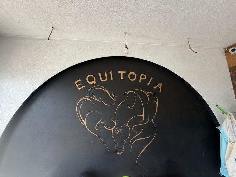 Proprietate specială, de 1,000 mp, în Central
