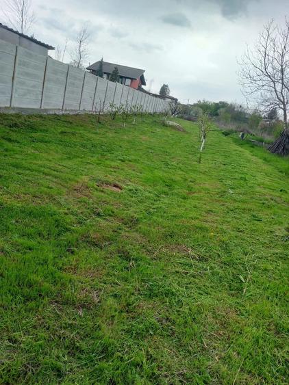 Teren de 1200 mp, în Cornetu