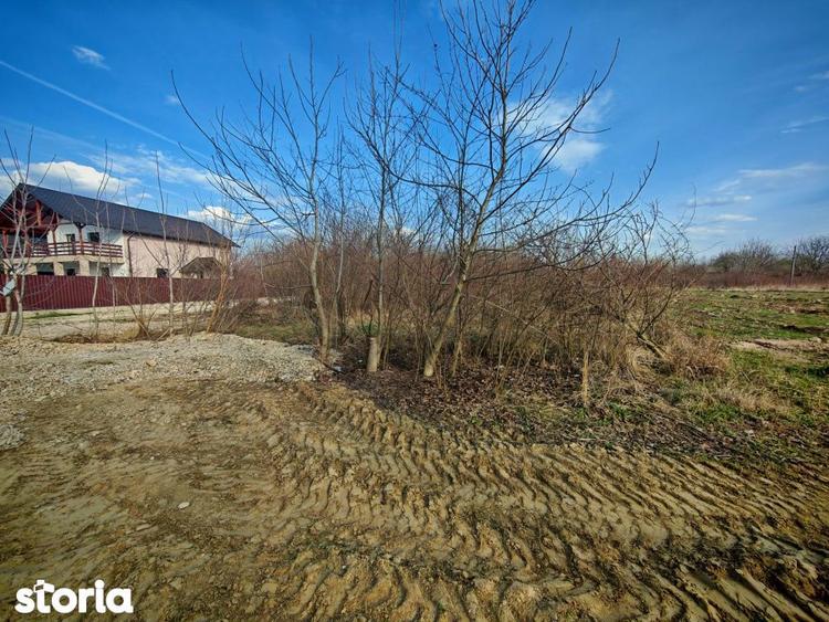 Teren intravilan 2273 mp in Pitesti, str. Mateias, iesire spre Campulu - 8
