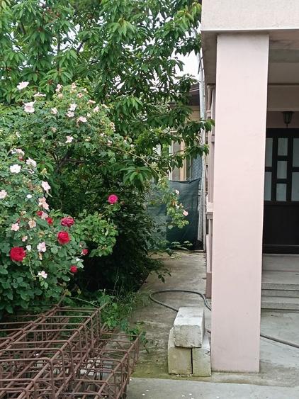Casă cu 3 camere în Central