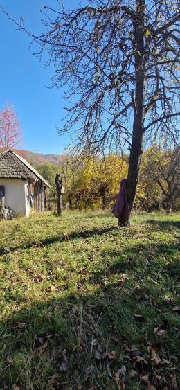 Teren de 10076 mp, în Nucșoara