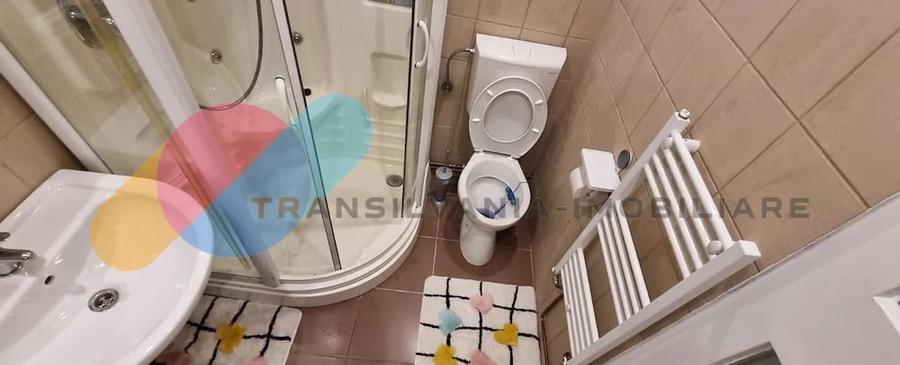 Apartament cu 2 camere semidecomandat, mobilat în Plopilor
