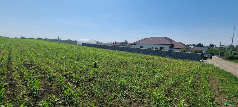 Teren Construcții intravilan de 10000 mp, în Cătămărești-Deal