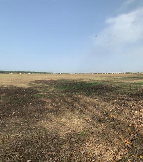 Teren Construcții intravilan de 3000 mp, în Afumați