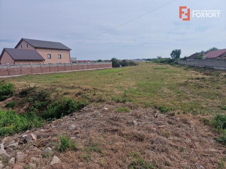 Teren Construcții intravilan de 2492 mp, în Bucovăț (Remetea Mare)