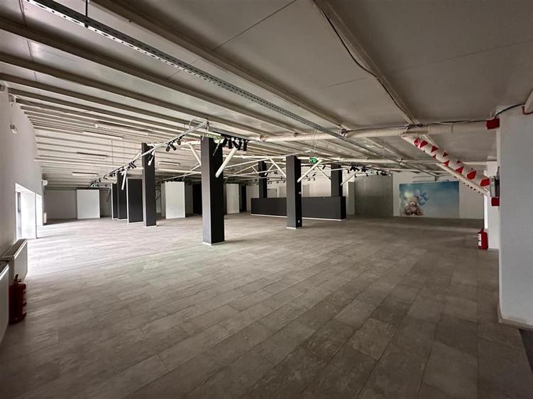 Spațiu industrial, de 1,310 mp, în Păcurari