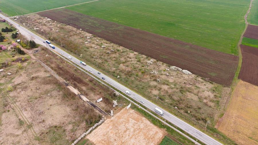 Teren agricol extravilan de 41800 mp, în Vladimirescu