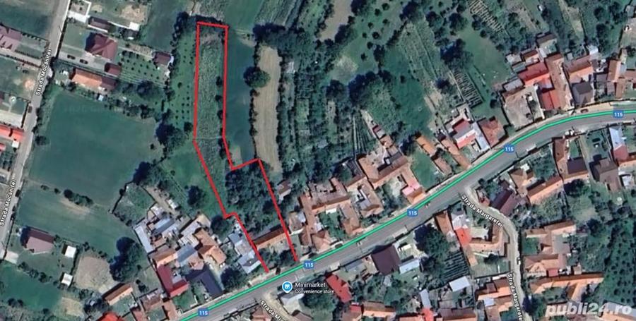 Casă cu Teren 3200 Mp în Cașin