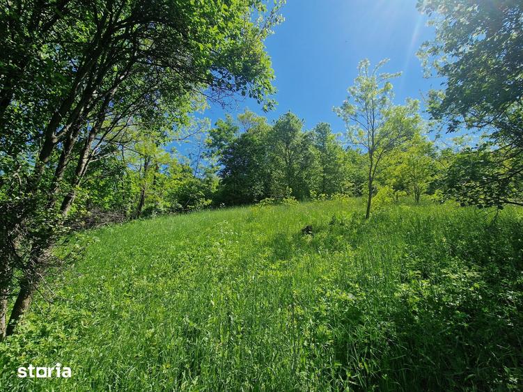 Teren de 3186 mp, în Poiana
