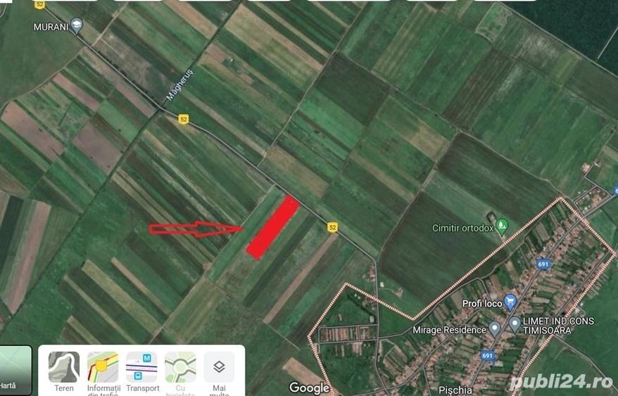 Teren de 16000 mp, în Pișchia