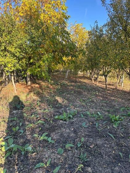 Casă cu 3 camere în Ardusat