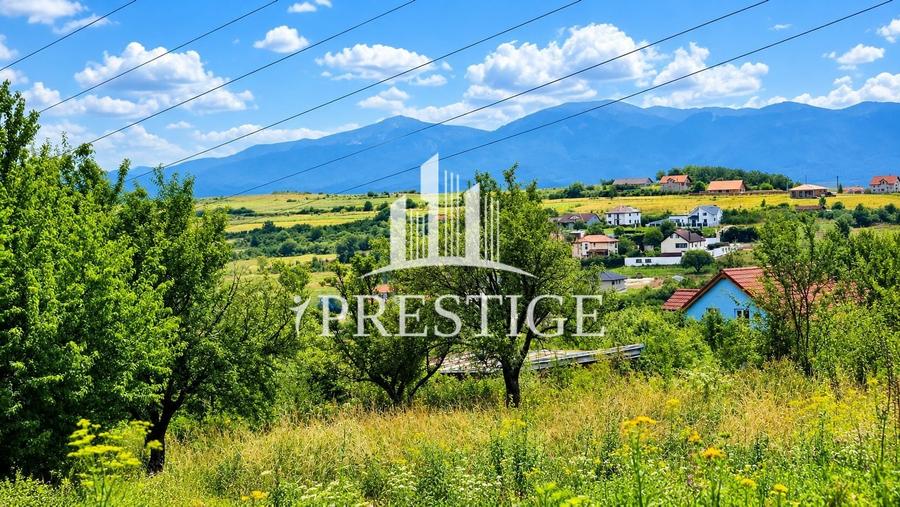 Teren Construcții intravilan de 960 mp, în Daia