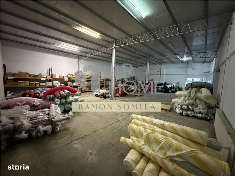 Vanzare Hala si teren industrial in Paulestii noi , Prahova - 19