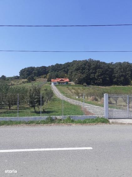 Casă cu 4 camere cu Teren 19200 Mp în Creaca