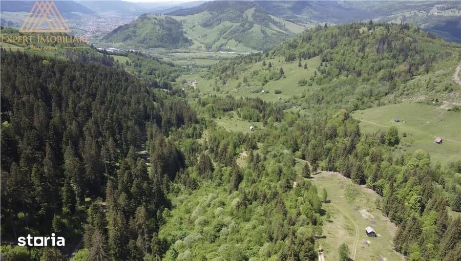 Teren de 100000 mp, în Central
