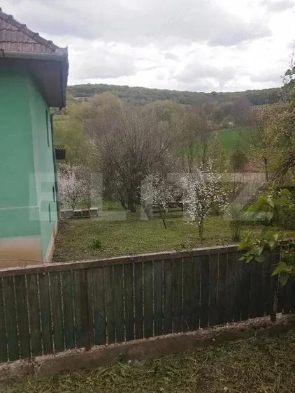 Casă cu 4 camere cu Teren 3200 Mp în Păingeni