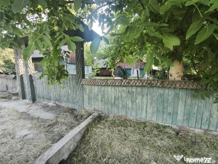 Casă cu 3 camere cu Teren 6500 Mp în Negostina