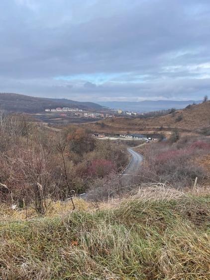 Teren intravilan de 1200 mp, în Tăuți