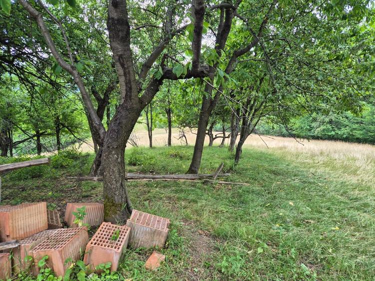 Teren Construcții extravilan de 21537 mp, în Poiana Mărului