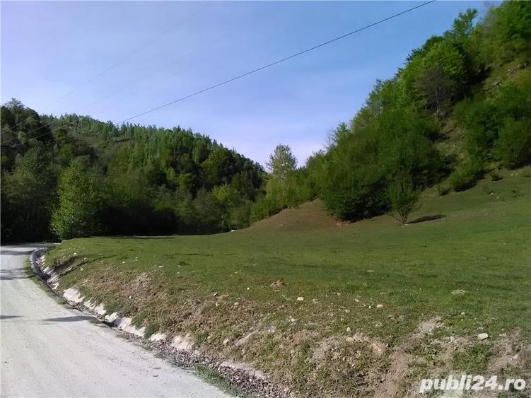 Teren de 5500 mp, în Pietroasa