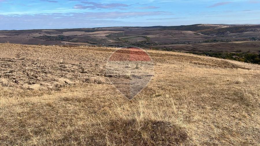 Teren agricol extravilan de 4000 mp, în Pădureni (Ciurila)